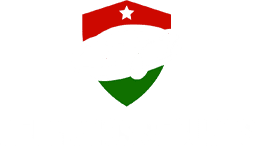 Hermanos Seguros Agency logo